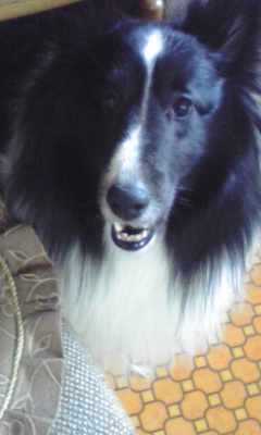 img20090426.jpg