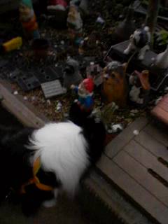 img20071030_1.jpg