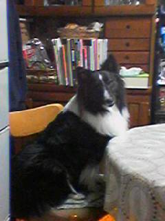 img20060214.jpg