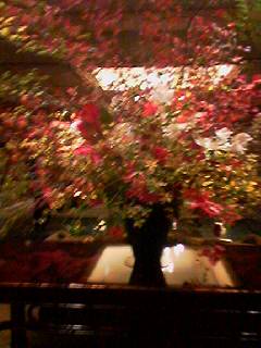 img20071026.jpg