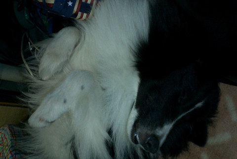 sCIMG0557.jpg
