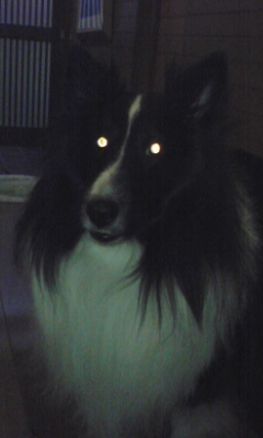 img20080112.jpg