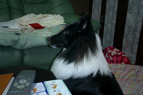 sCIMG0553.jpg