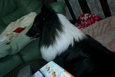 sCIMG0552.jpg