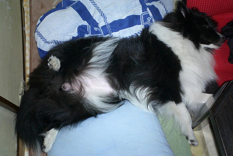 sCIMG0555.jpg