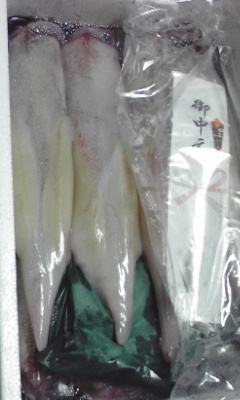 img20090708.jpg