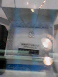 img20071101_1.jpg
