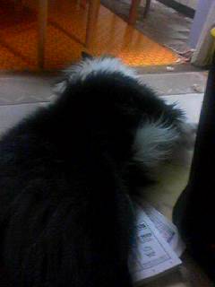 050715_2332%7E001.jpg