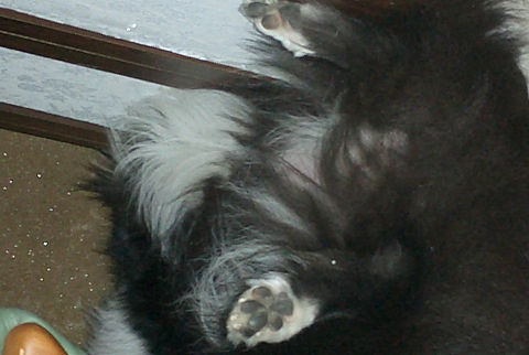 sCIMG0546.jpg