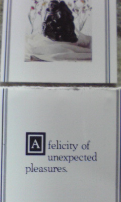 img20080901.jpg