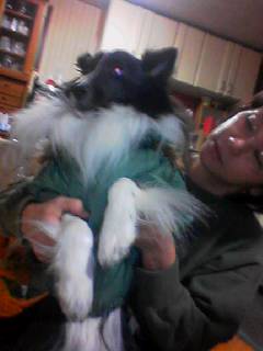 img20070101.jpg