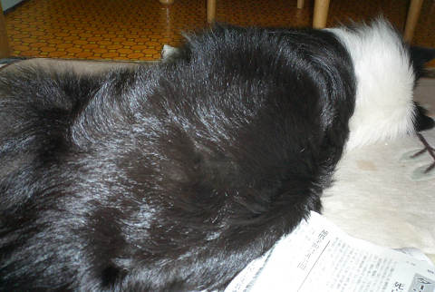 sCIMG0547.jpg