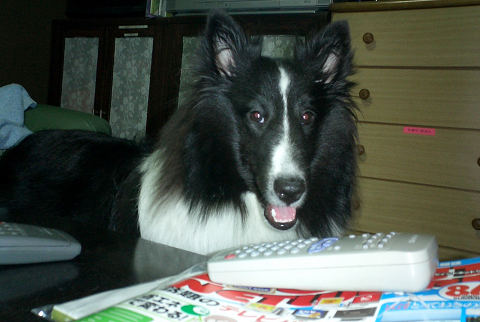 sCIMG0549.jpg