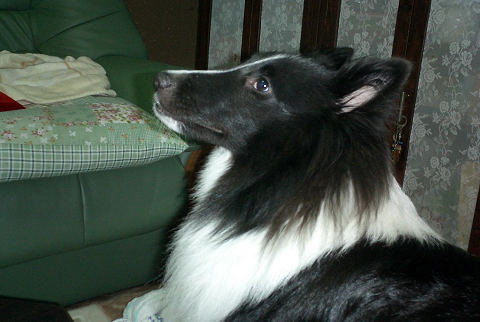 sCIMG0551.jpg