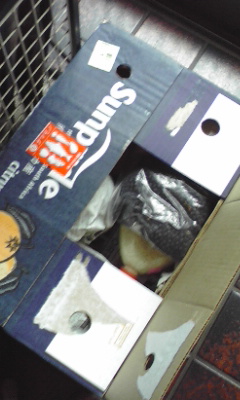 img20091230.jpg