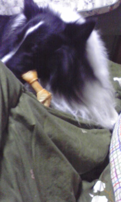img20081223.jpg