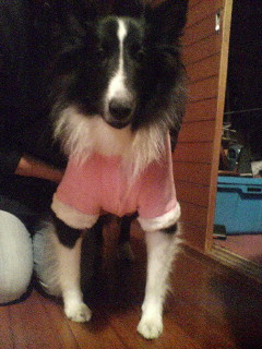 20051019002509.jpg