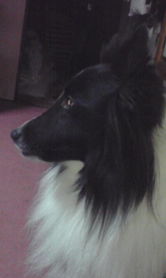 img20100205.jpg