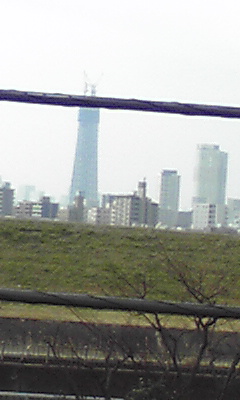 img20091230_1.jpg