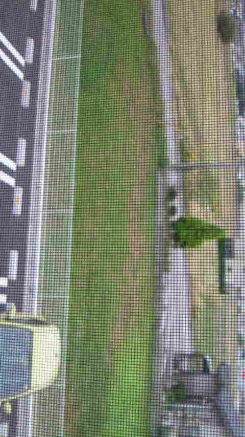 image001.jpg