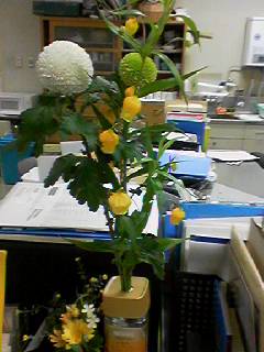 050422_1829%7E001.jpg