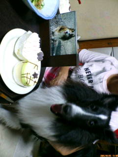20050905190038.jpg