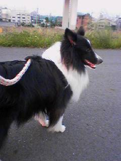 img20060531_1.jpg