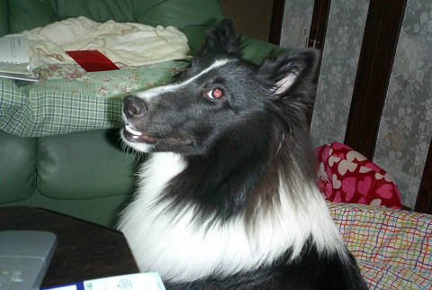 sCIMG0554.jpg