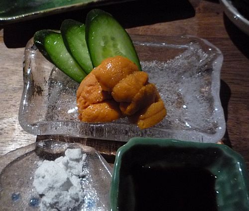 img20090131_5.jpg