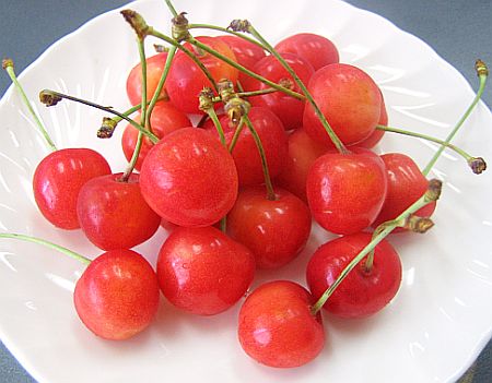 img20050630_1.jpg