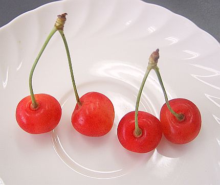 img20050630_2.jpg