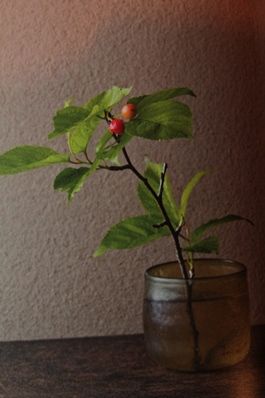 hana1