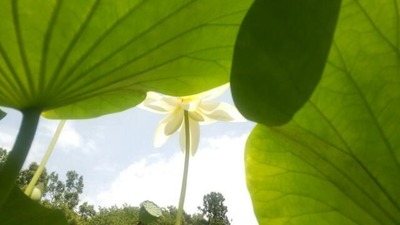 20160725_162559