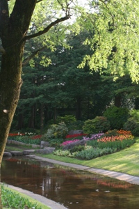 img_5654.jpg
