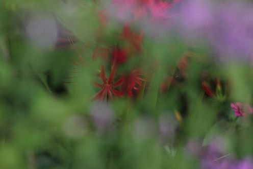 IMG_9690
