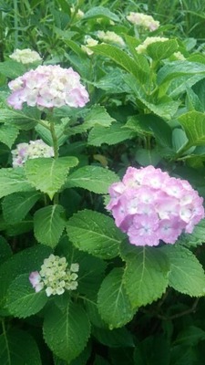 20160530_181615