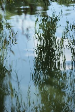 IMG_6330