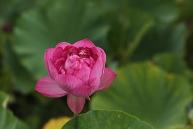 IMG_9564