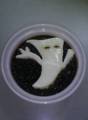 jeri.jpg