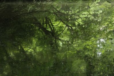 kitaku1