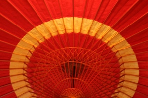kasa1.jpg