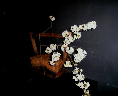 ikebana.jpg