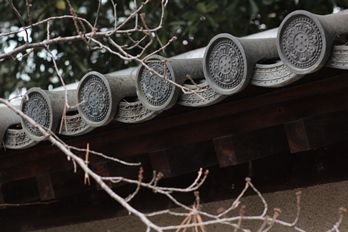 nara1 (2)