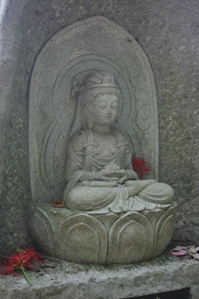 yokosawa.jpg