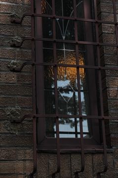 IMG_5462