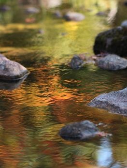 IMG_7603