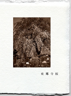 img20090824.jpg