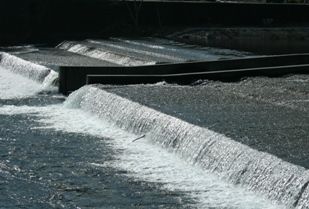 kawa