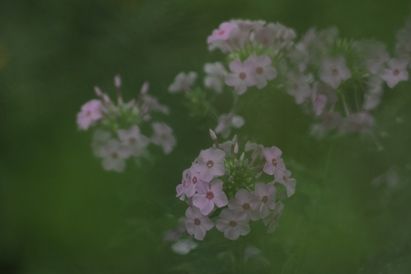 IMG_9407