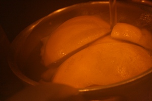 img20090127.jpg